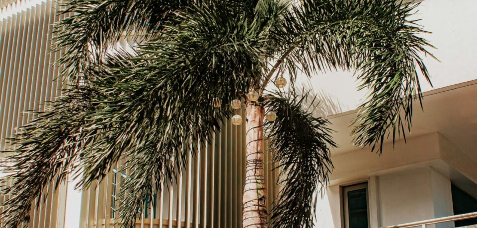 Short-Term Luxury Apartment Rentals in Islamabad